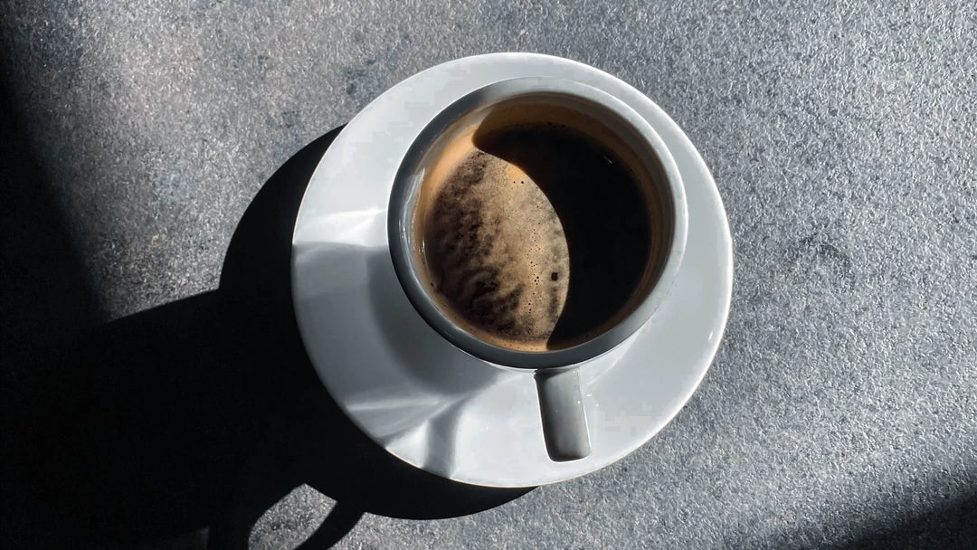 Filtre Kahve Çeşitleri Nelerdir?