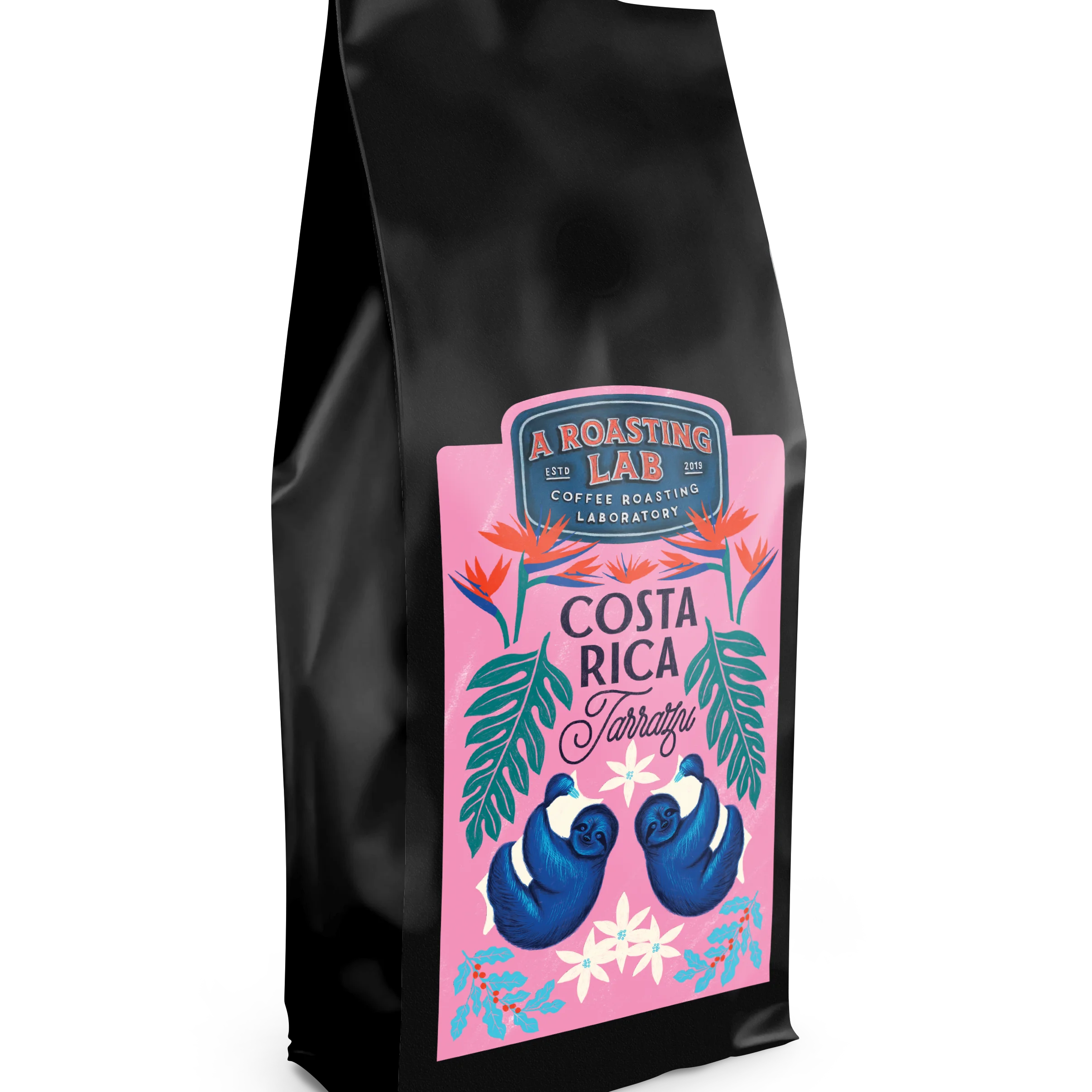 A_roasting_lab_costa_rica_tarrazu.webp