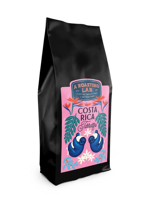 Kosta Rika Filtre Kahve 250g