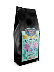 Endonezya Sumatra Filtre Kahve 250g