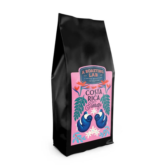 Kosta Rika Filtre Kahve 250g